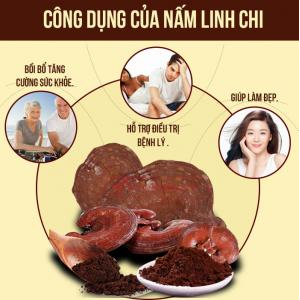 Nấm Linh Chi (Túi 250gr)