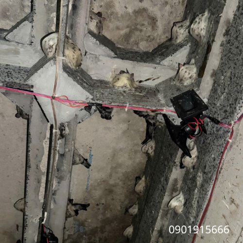 Bảo Dưỡng Và Vệ Sinh Loa Nhà Yến Đúng Cách Để Kéo Dài Tuổi Thọ