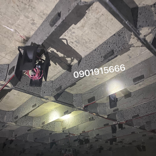 Nên Chọn Loại Loa Nào Để Có Thể Phù Hợp Khi Nuôi Yến?