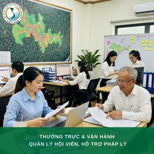Khối Chuyên Môn Thường trực Và Vận hành