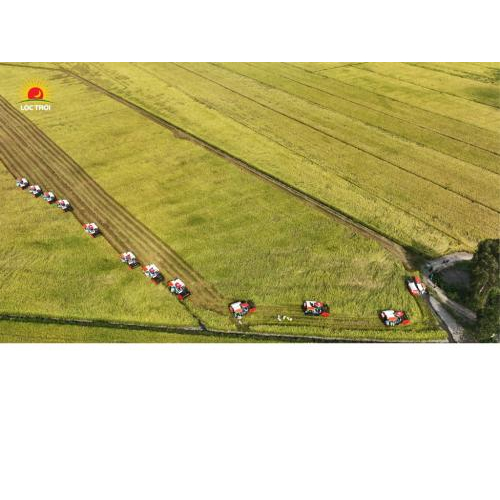 Gạo Hạt Ngọc Trời Thiên Vương 5 Kg - Gạo Thơm Đặc Sản